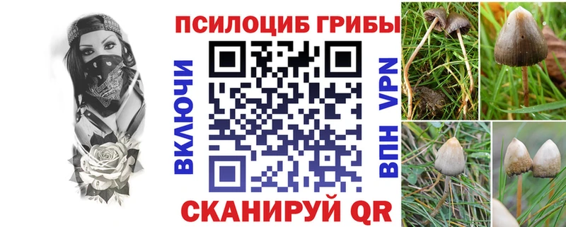 как найти наркотики  Енисейск  Галлюциногенные грибы GOLDEN TEACHER 